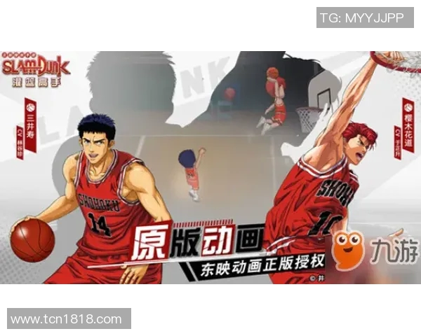 赵磊独家分享：深入浅出篮球技巧与心得体会解析